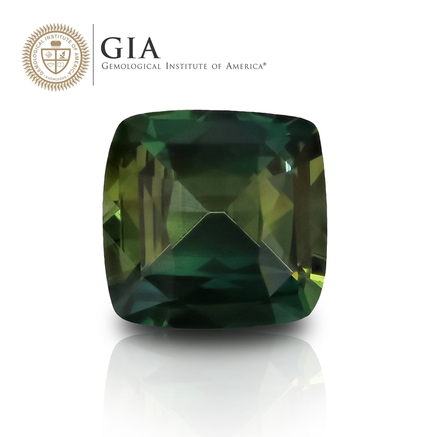 Load image into Gallery viewer, GIA Sapphire
