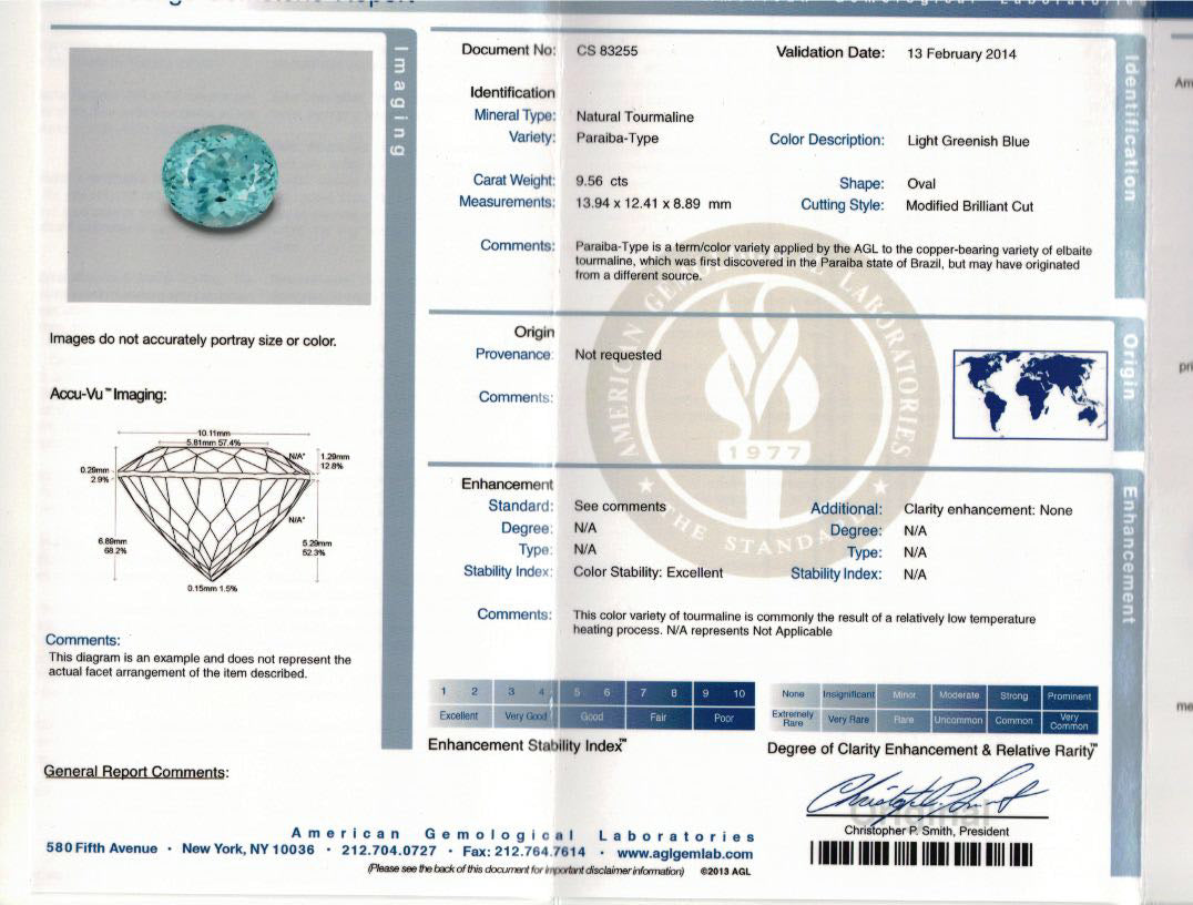 Natural Unheated Paraiba Tourmaline 9.56 Carats With AGL Report